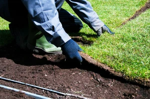 Sanibel Sod Installation & Removal Service fortmyerslandscaping sod 04